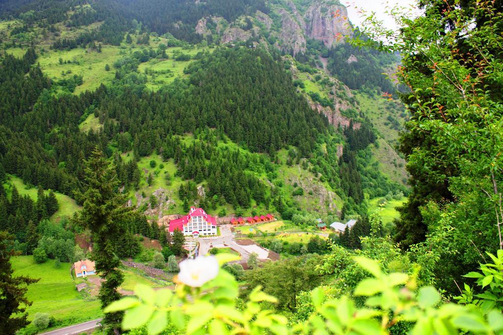 Hotel Green Valley Savsat Esterno foto