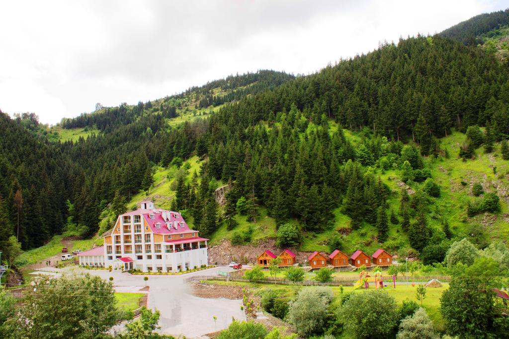 Hotel Green Valley Savsat Esterno foto