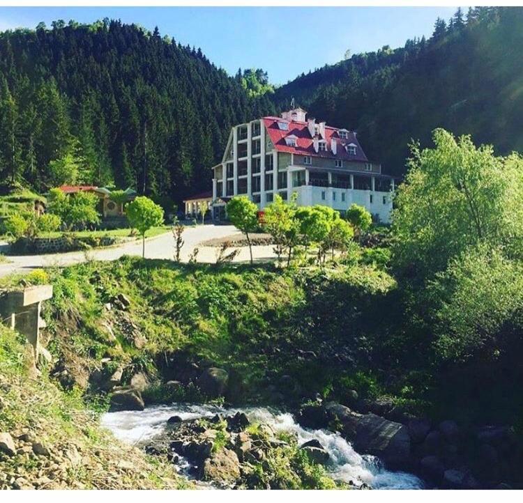 Hotel Green Valley Savsat Esterno foto
